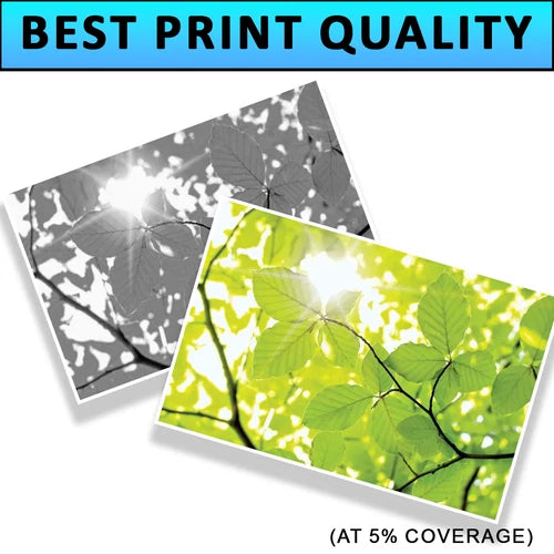 Epson 29XL 4-Colour Combo High Capacity Ink Cartridges Strawberry C13T29964010