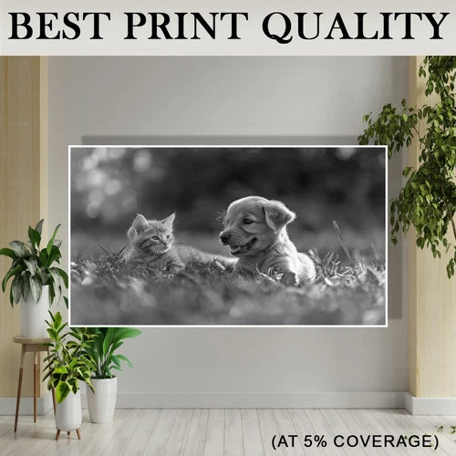 Compatible Brother TN-2010 Black Toner Cartridge Brother DCP-7055 DCP-7057